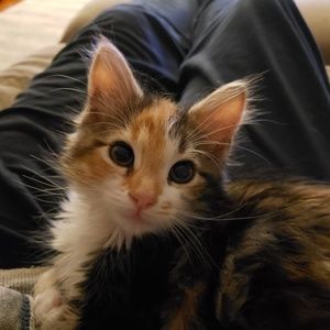 Meet your Posher, Patty